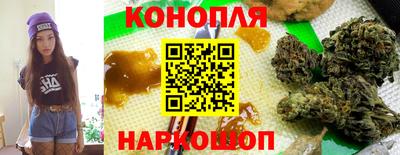 Альфа ПВП Будённовск