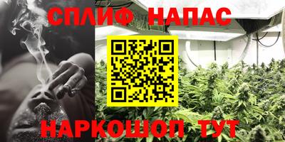 Альфа ПВП Будённовск