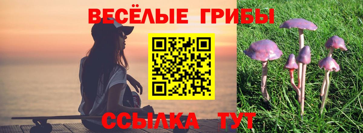 Псилоцибиновые грибы GOLDEN TEACHER Сокол